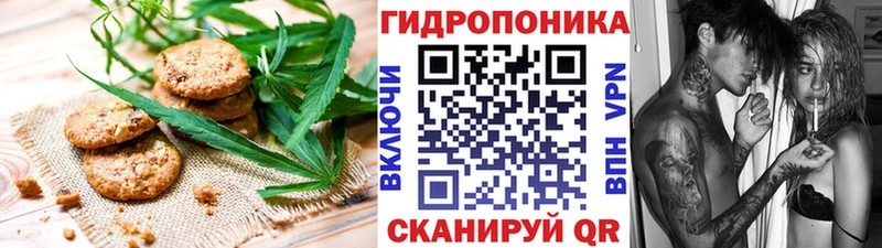 купить  цена  Моздок  Cannafood конопля 