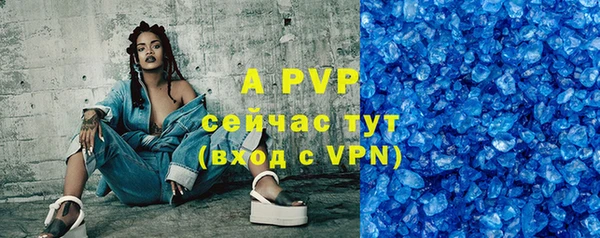 стафф Богданович
