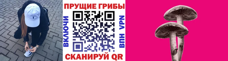 Псилоцибиновые грибы Cubensis Моздок