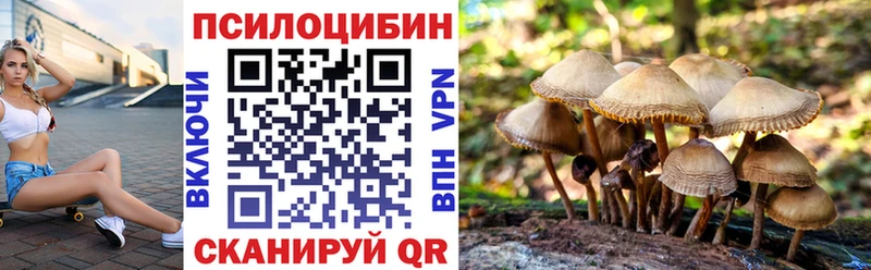 Галлюциногенные грибы Cubensis  купить наркоту  Моздок 